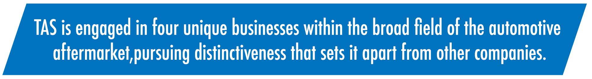 Within the broad business domain of the automotive aftermarket, TAS is engaged in four businesses that pursue uniqueness not found in other companies.