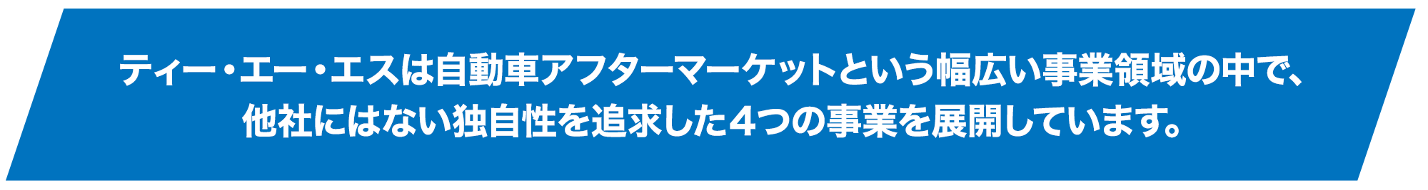 ティー・エー・エスは自動車アフターマーケットという幅広い事業領域の中で、他社にはない独自性を追求した４つの事業を展開しています。